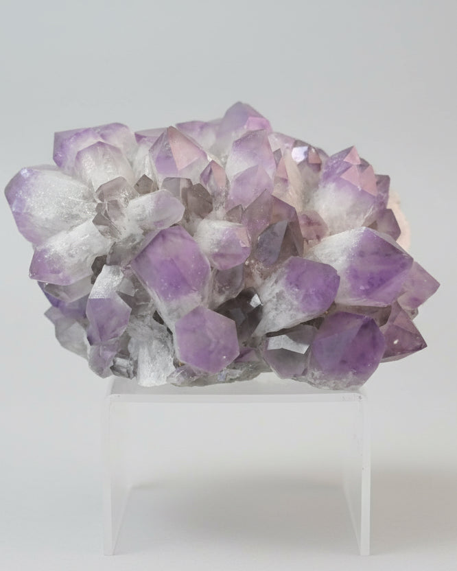 bolivian-amethyst-_apprix-20in--w__sku-1800--___c--900--v-Crystal-Springs-__t-cluster---a1789.jpg