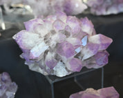Bolivian Amethyst Cluster 20 in