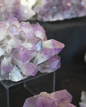 Bolivian Amethyst Cluster 20 in