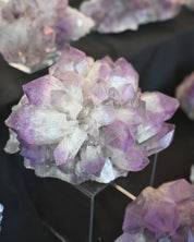 Bolivian Amethyst Cluster 20 in