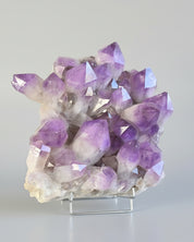 Bolivian Amethyst Cluster – Deep Violet (20 in)