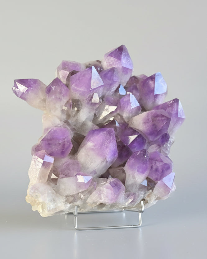 Bolivian Amethyst Cluster – Deep Violet (20 in)