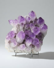 Bolivian Amethyst Cluster – Deep Violet (20 in)