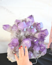 Bolivian Amethyst Cluster – Deep Violet (20 in)