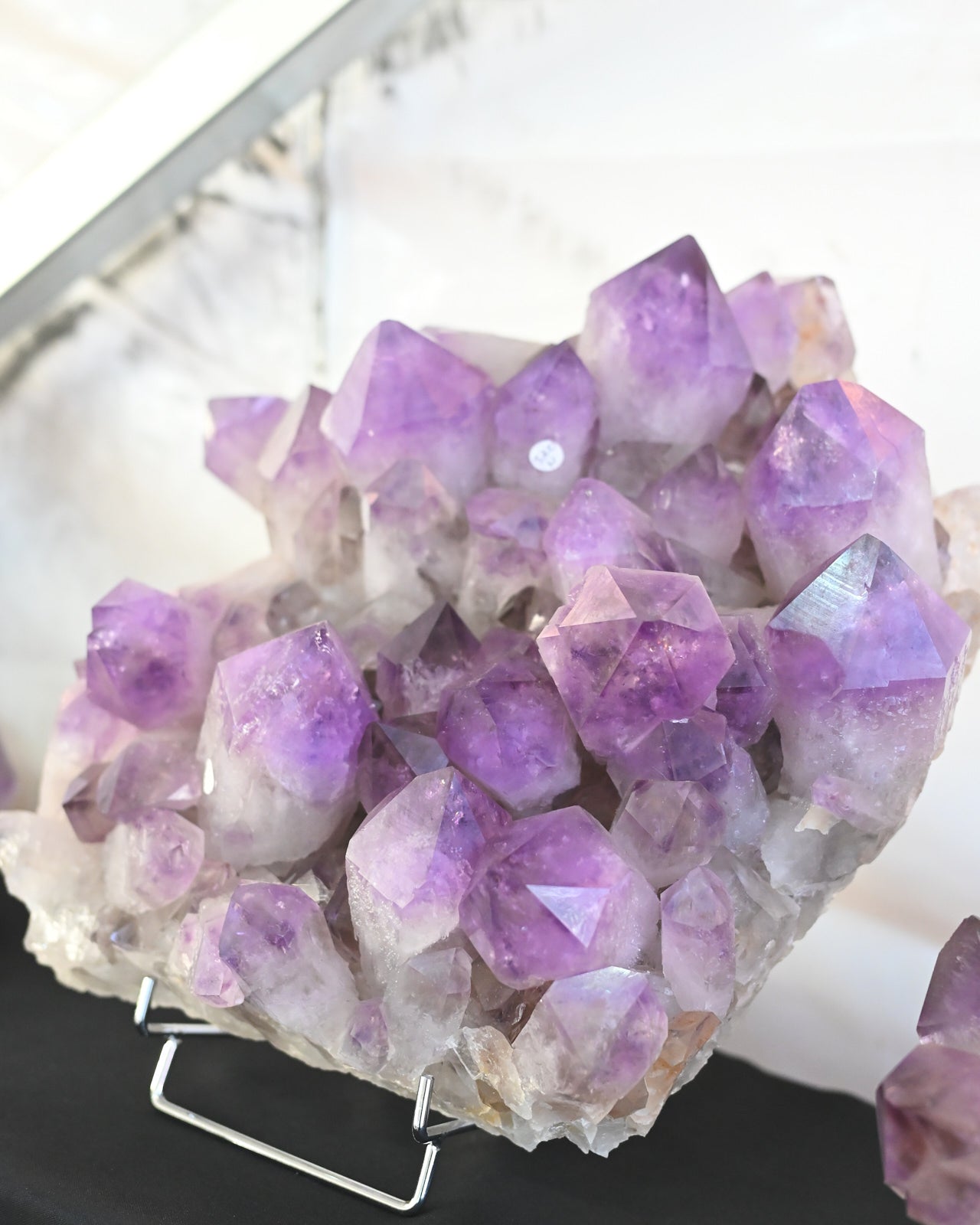 Bolivian Amethyst Cluster – Deep Violet (20 in)