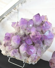 Bolivian Amethyst Cluster – Deep Violet (20 in)
