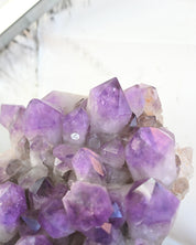 Bolivian Amethyst Cluster – Deep Violet (20 in)