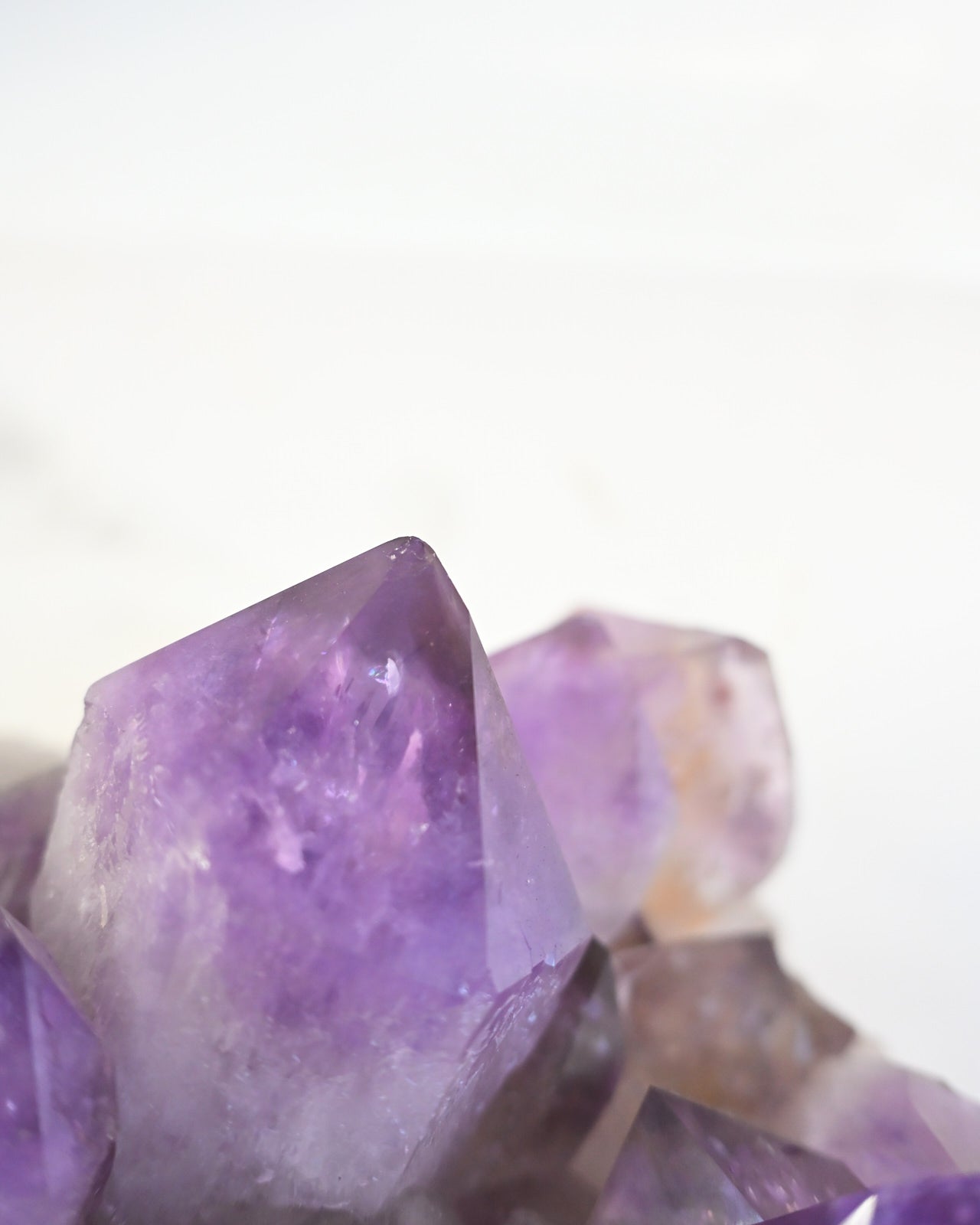 Bolivian Amethyst Cluster – Deep Violet (20 in)