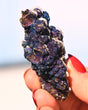 Chalcopyrite on Druzy Quartz 0.12 lb — Casteel Mine