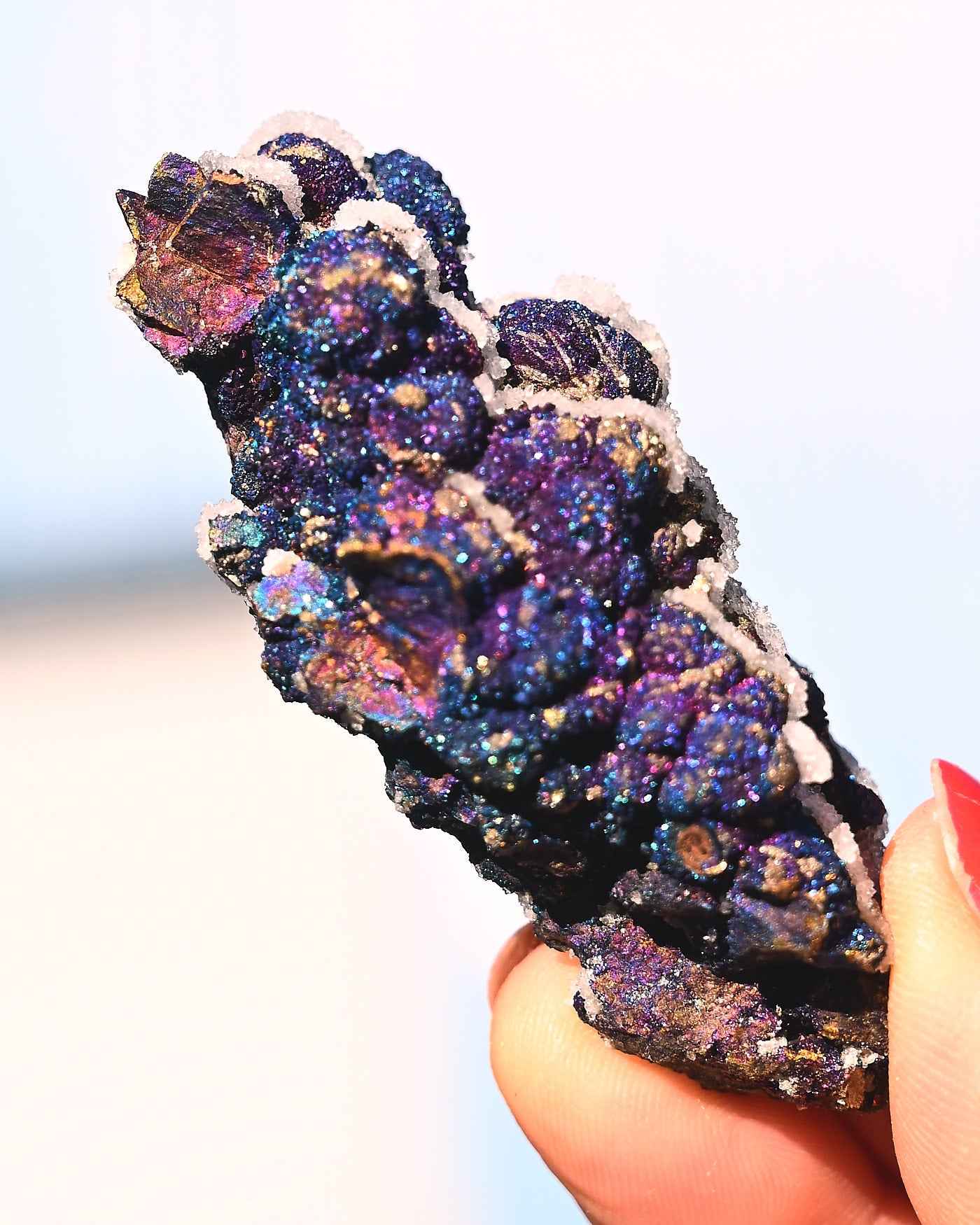 Chalcopyrite on Druzy Quartz Casteel Mine 0.12 lb