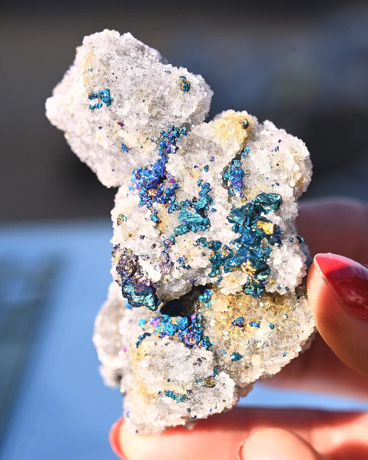 Chalcopyrite on Druzy Quartz Casteel Mine 0.265 lb