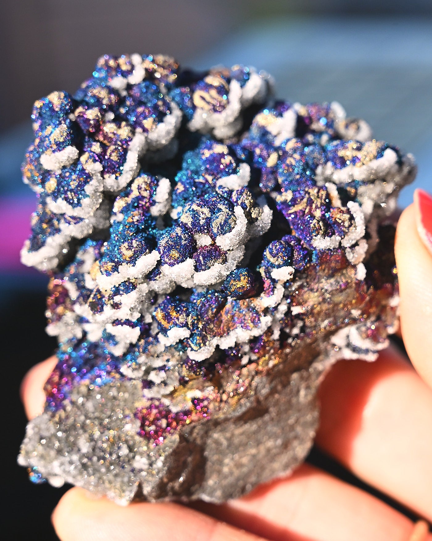 Chalcopyrite on Druzy Quartz Casteel Mine 0.305 lb