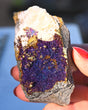 Chalcopyrite on Druzy Quartz 0.35 lb — Casteel Mine