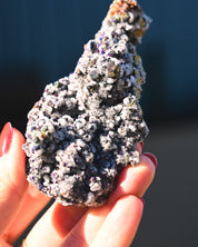 Chalcopyrite on Druzy Quartz Casteel Mine 0.355 lb