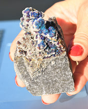 Chalcopyrite on Druzy Quartz Casteel Mine 0.42 lb