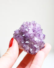 Cactus Quartz Cluster