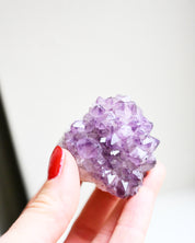 Cactus Quartz Cluster