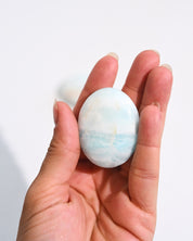 Caribbean Calcite Palm Stone detail