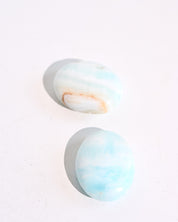 Caribbean Calcite Palm Stone close up