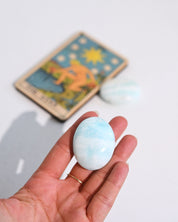 Caribbean Calcite Palm Stone on display