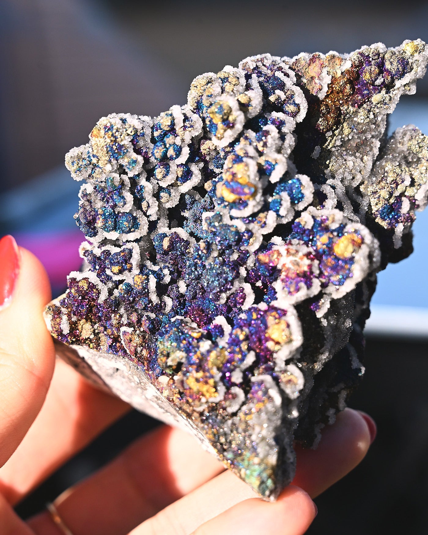 Chalcopyrite on Druzy Quartz Casteel Mine 0.925 lb