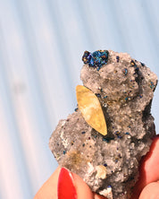 Chalcopyrite on Quartz, 0.175 lb specimen — detail