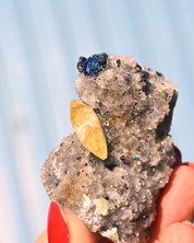 Chalcopyrite on Quartz, 0.175 lb specimen — reverse