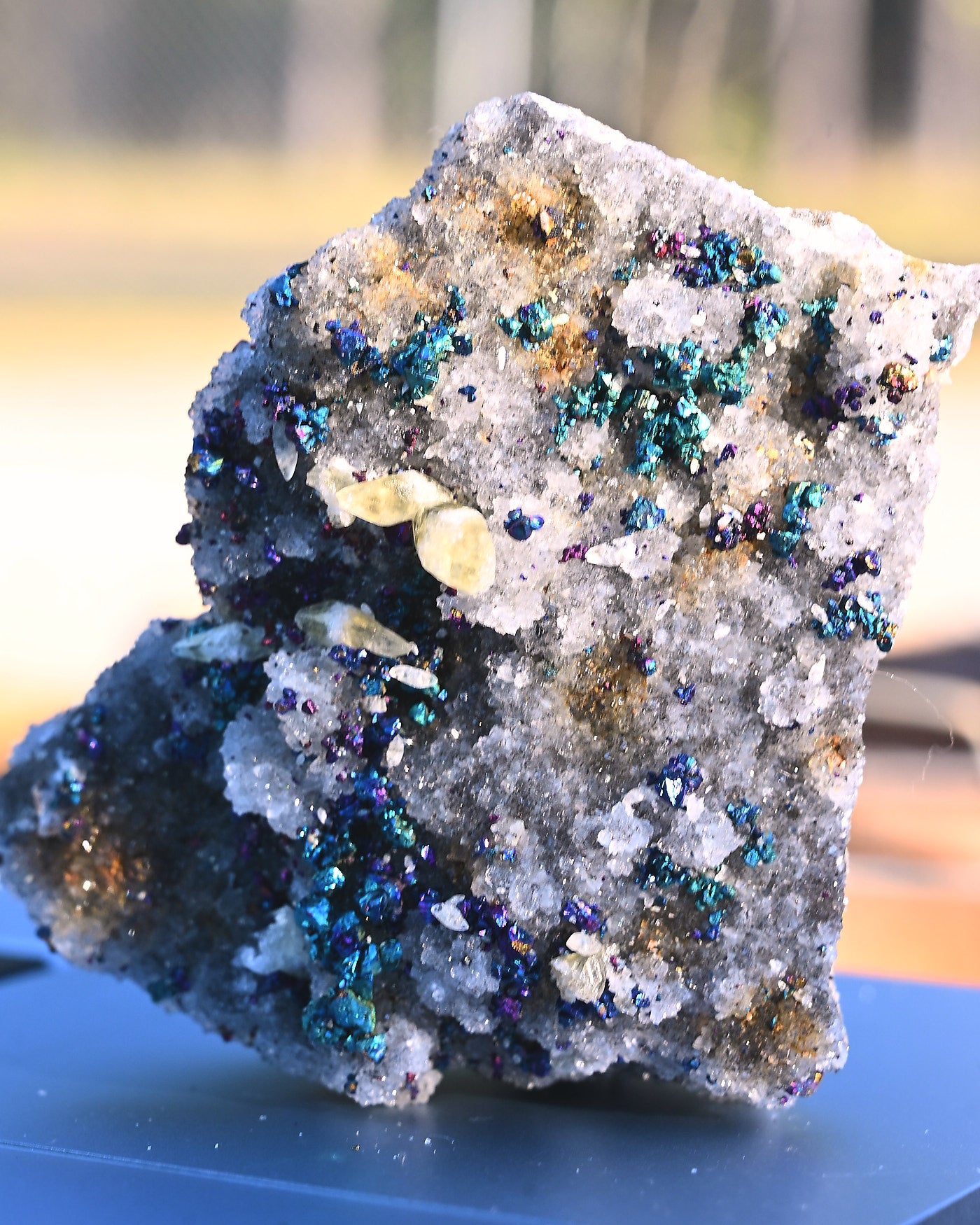 Chalcopyrite on Quartz, 0.425 lb specimen — detail
