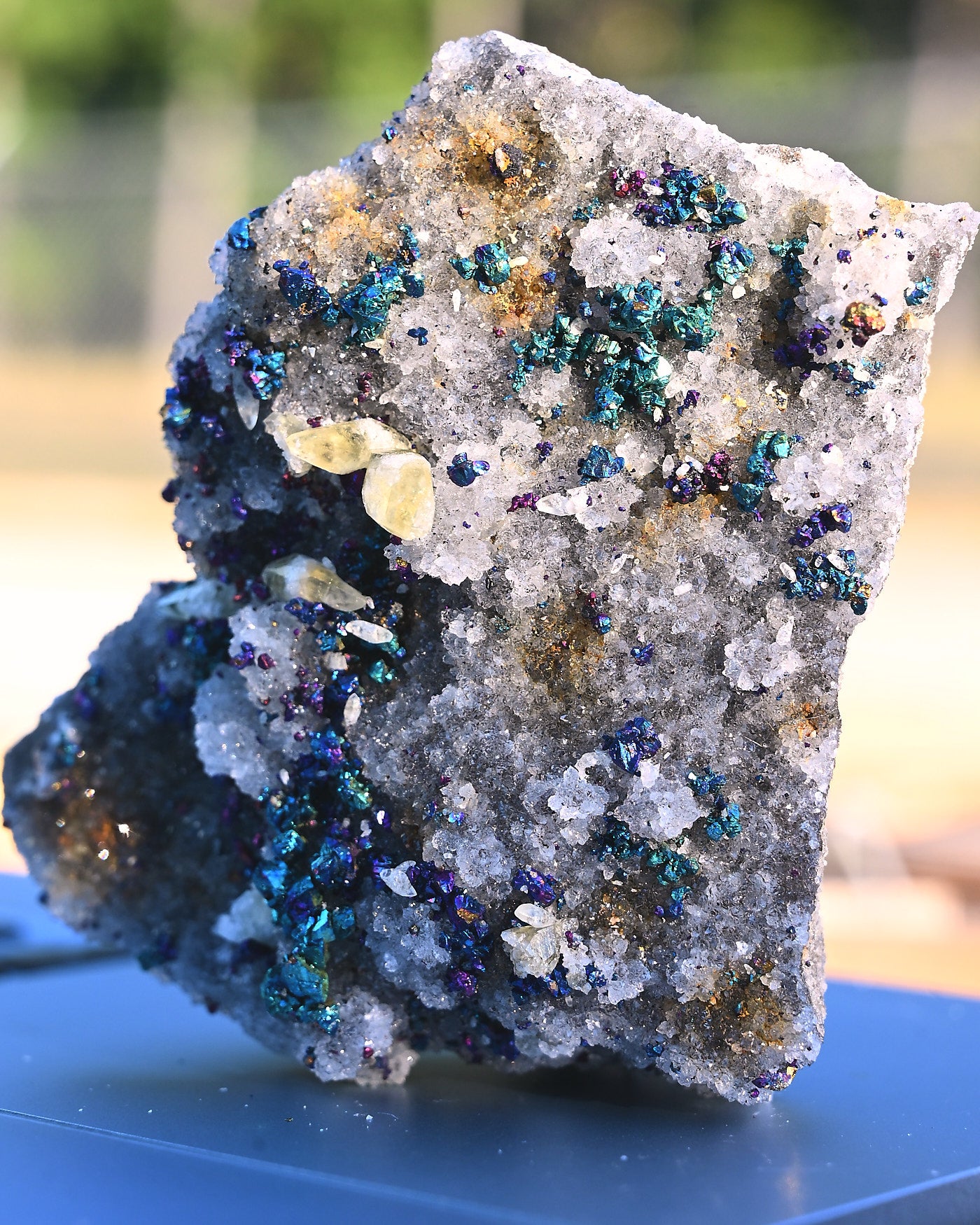 Chalcopyrite on Quartz, 0.425 lb specimen — reverse