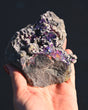 Chalcopyrite on Druzy Quartz 1.155 lb — Casteel Mine