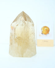 Natural Citrine with Green Tourmaline Tower 1.9kg