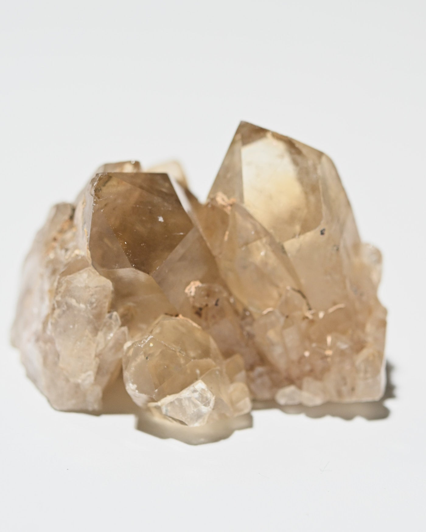 Elestial Citrine Cluster