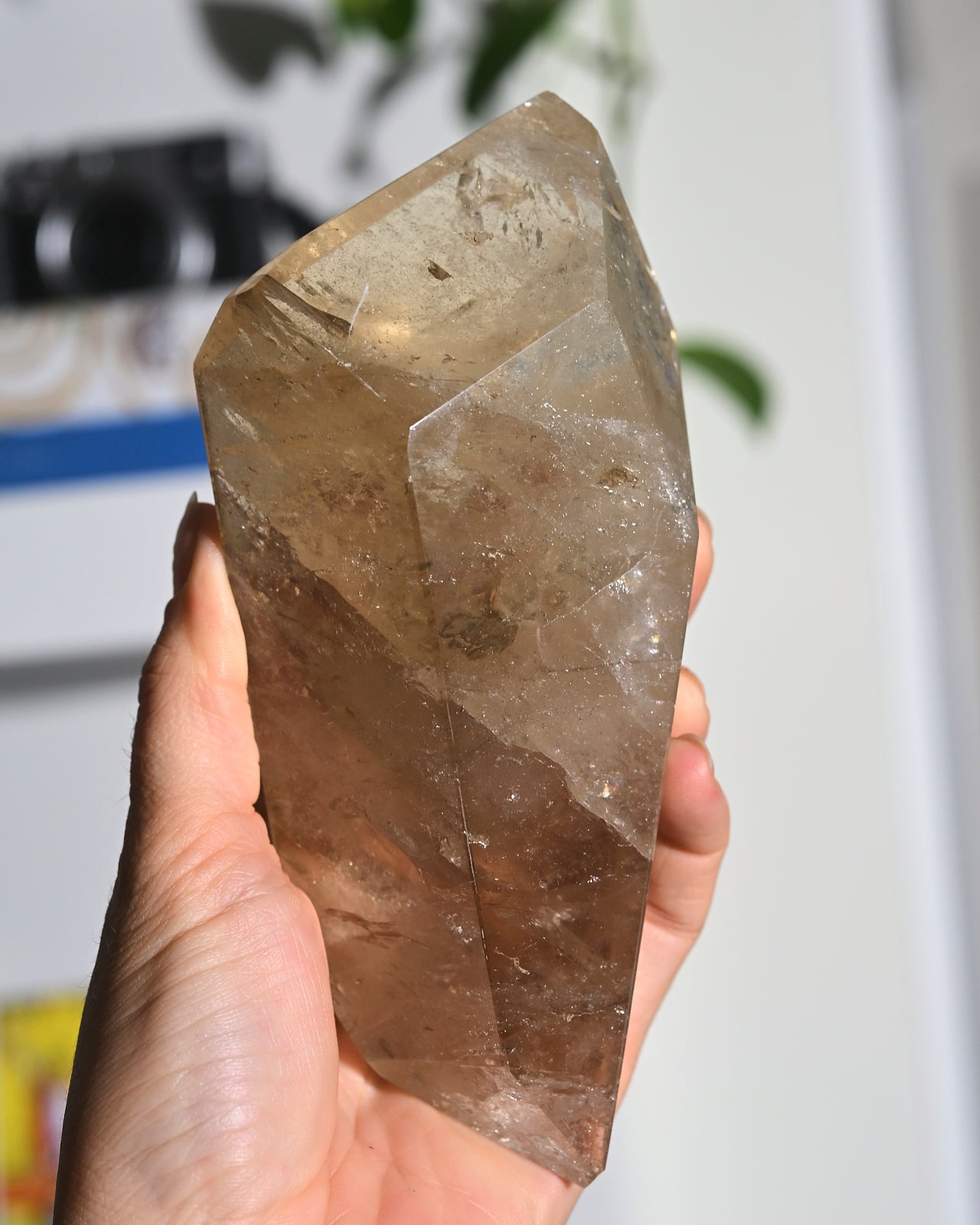 citrine--542--5x3-3896.jpg