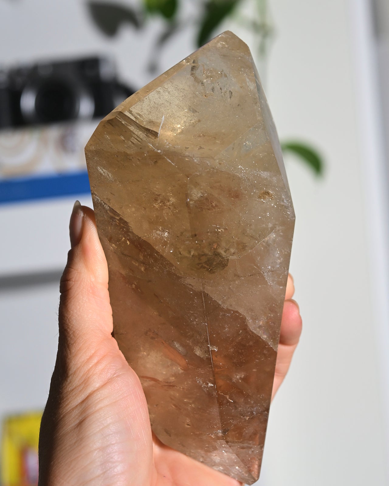 citrine--542--5x3-3897.jpg