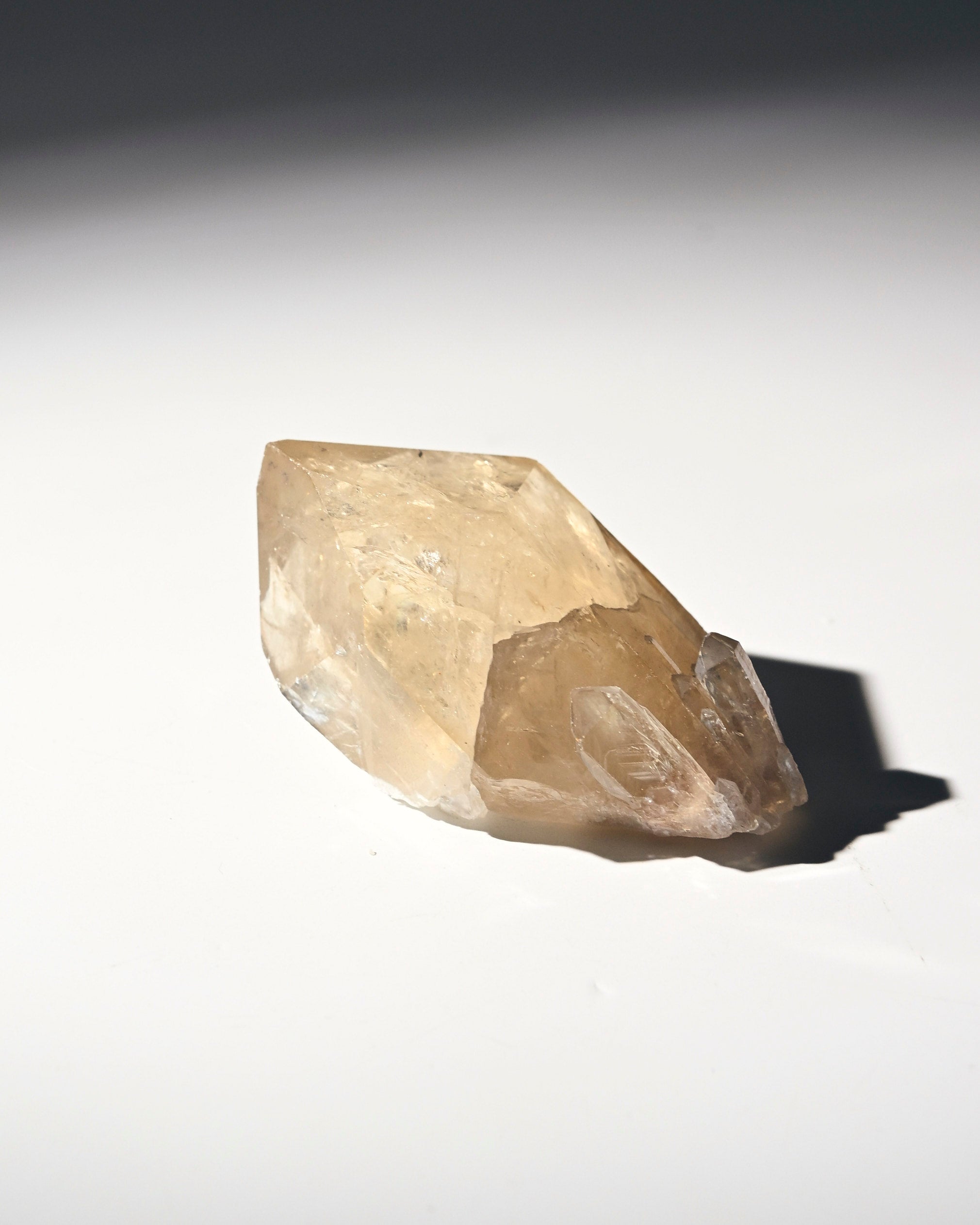 citrine--94-2x1--56621.jpg