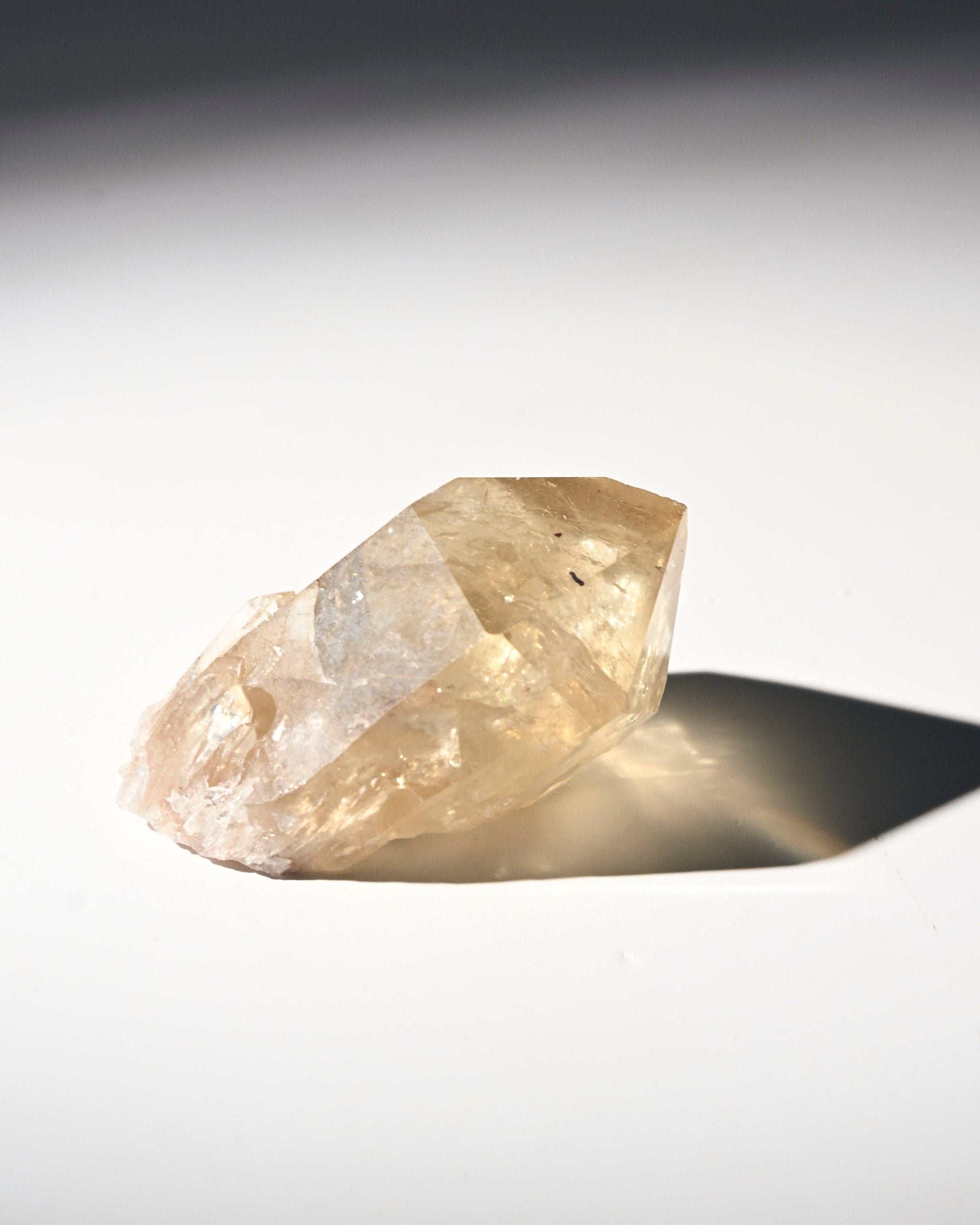 citrine--94-2x1--56641.jpg