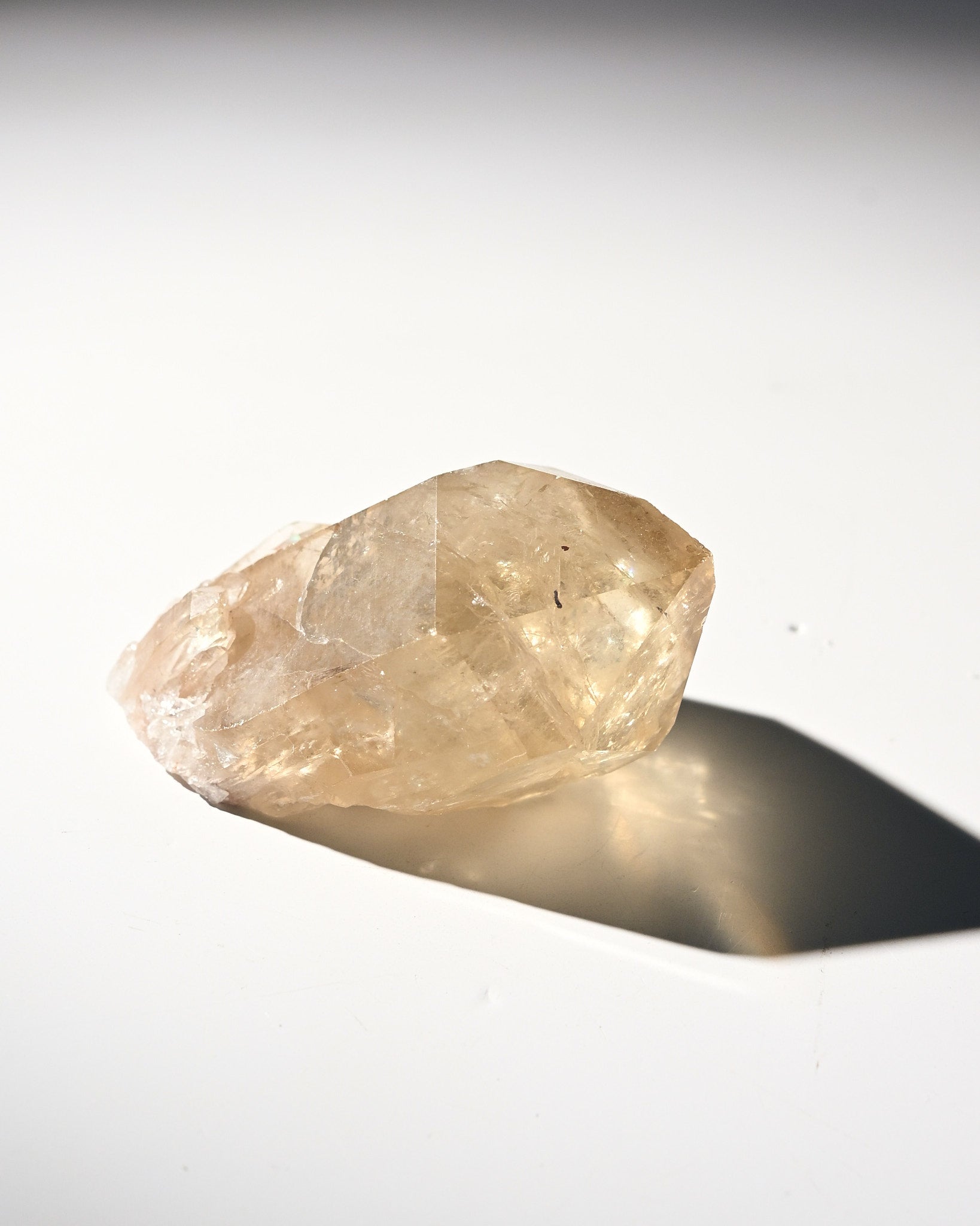 citrine--94-2x1--5667.jpg
