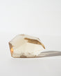 Citrine Geometric Free Form · 128g