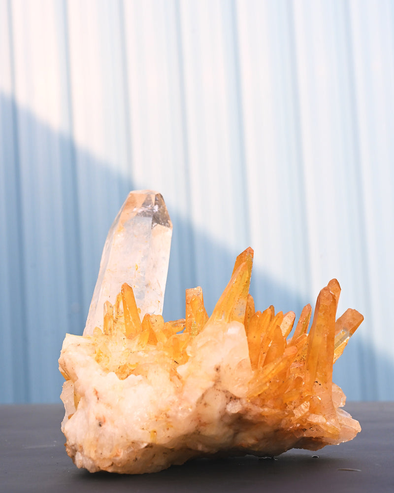 Colombian Golden Healer Quartz Cluster La Belleza Mine