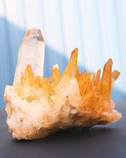 Colombian Golden Healer Quartz Cluster La Belleza Mine