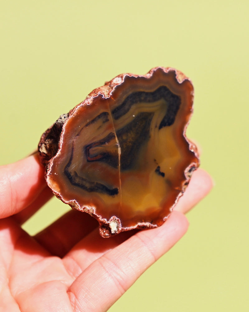 【コレクターズアイテム】コンドルアゲート Rare Condor Agate Geode 70g No. 120-agate – CRYSTALS.COM