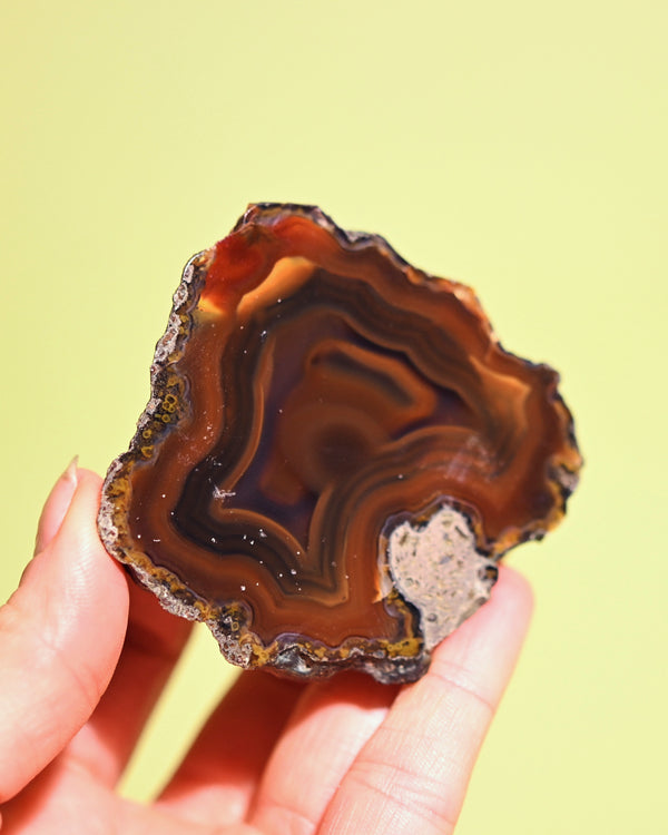 Rare Condor Agate Geode