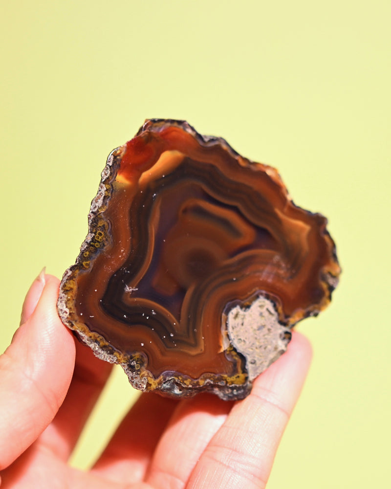 Rare Condor Agate Geode 70g
