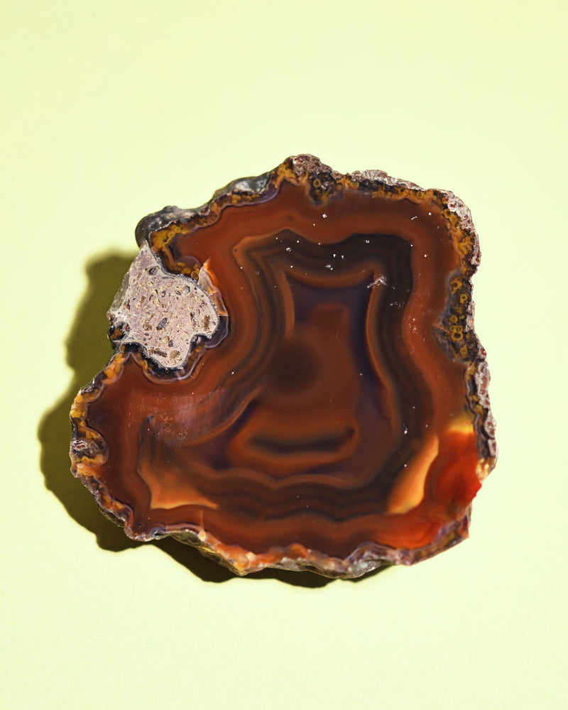 Rare Condor Agate Geode 70g