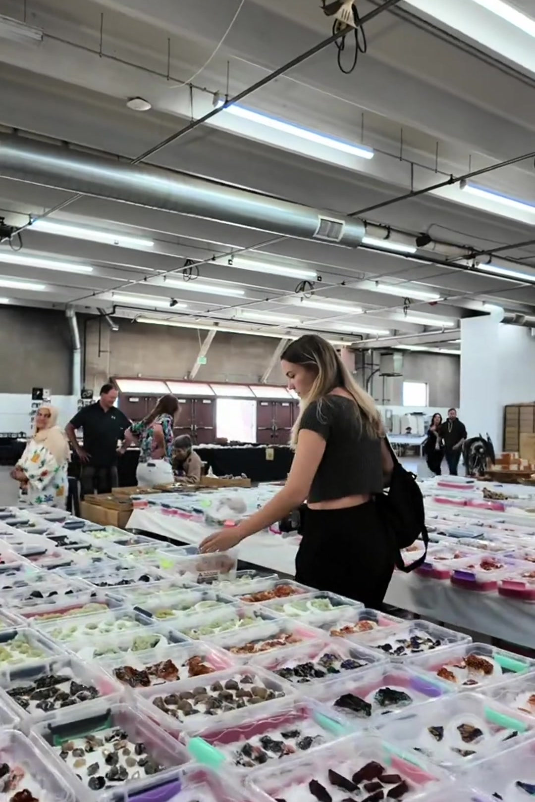 Browsing wholesale flats of mineral specimens at the Denver Gem Show