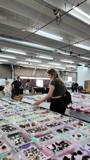 Browsing wholesale flats of mineral specimens at the Denver Gem Show