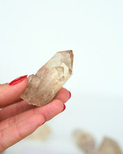 Elestial Citrine Cluster group