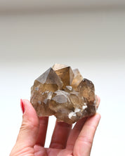 Smoky Elestial Citrine Cluster
