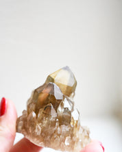 Elestial Citrine Cluster – Namibia