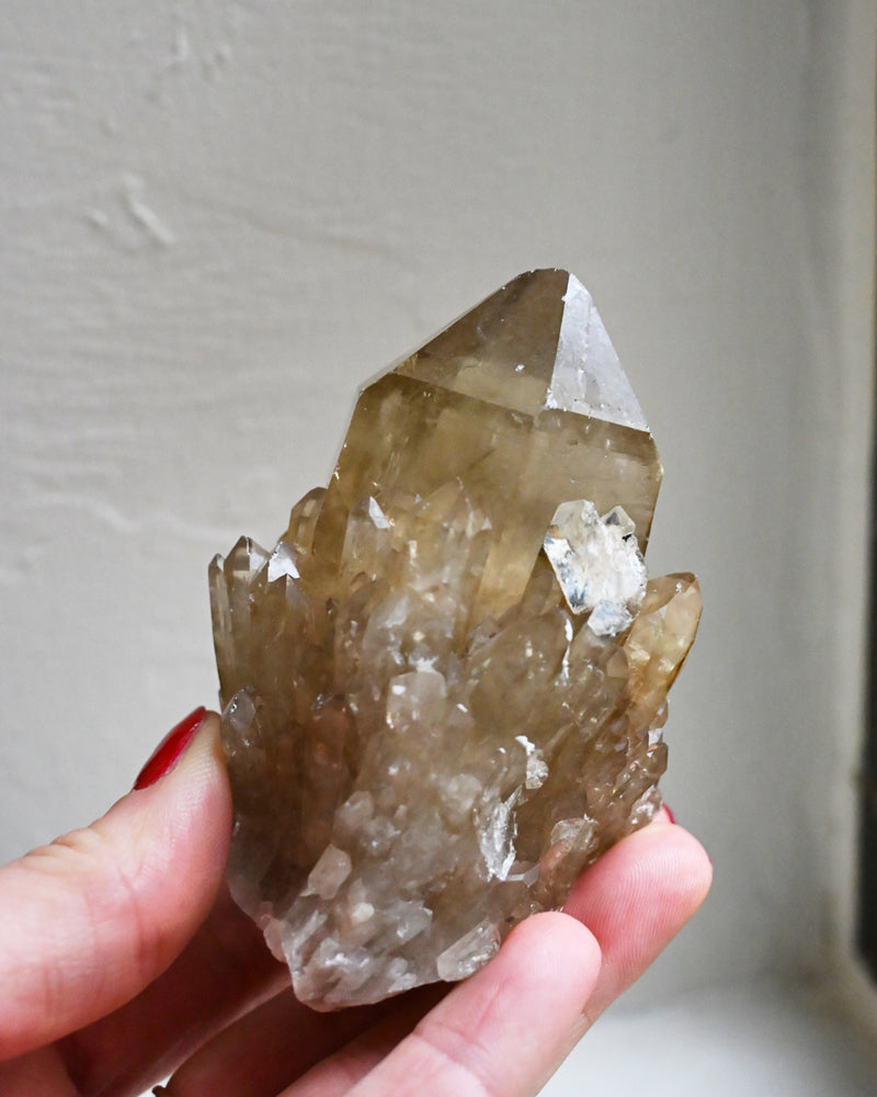 Elestial Citrine Cluster – Namibia